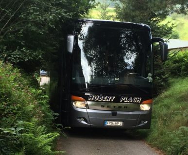 busreise-natur-waldweg-hubert-plach